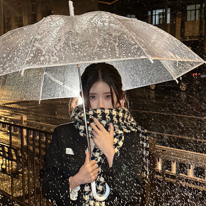 女人与斗士海报